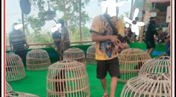 Ratusan Juta Uang Judi Mengalir Setiap Hari, Tapi Tak Ada Satu Pun Aparat Bergerak